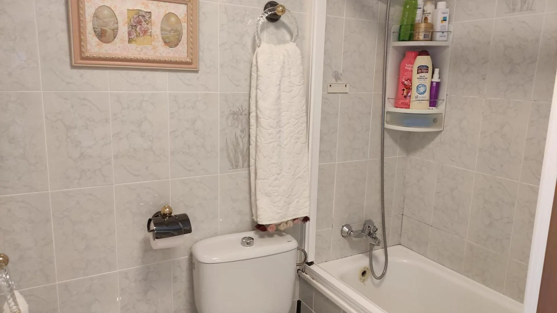 Isis Apartment Antequera